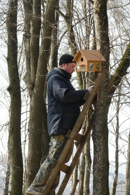 День птиц в Калуге