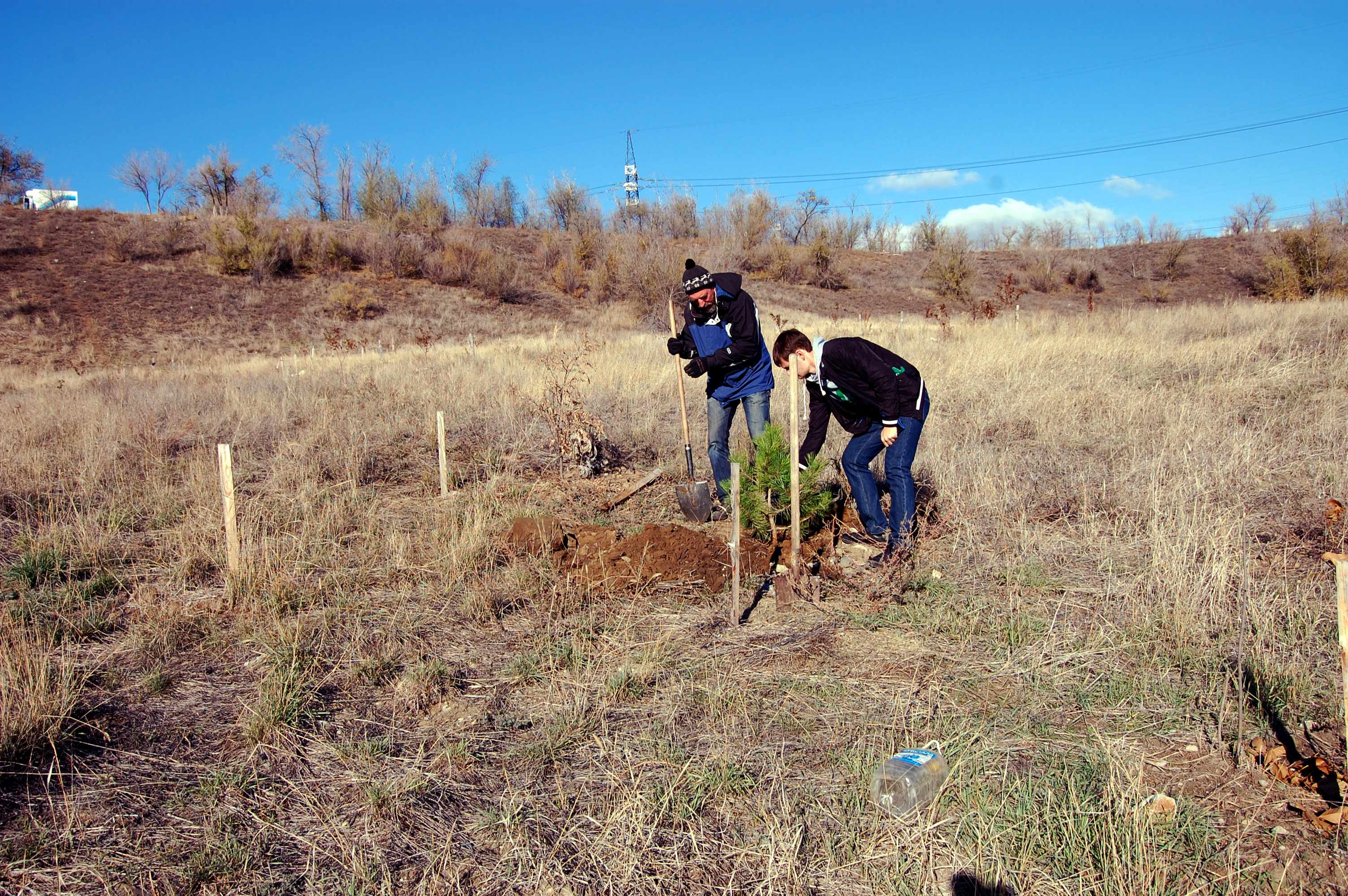 Посадкаспарт4