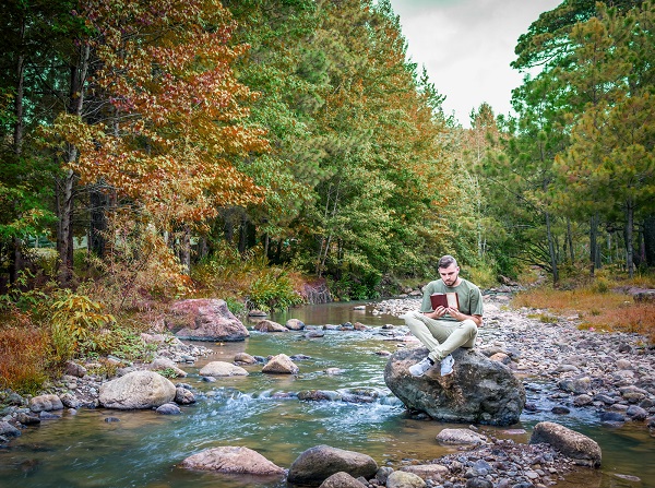 Экопросвещение