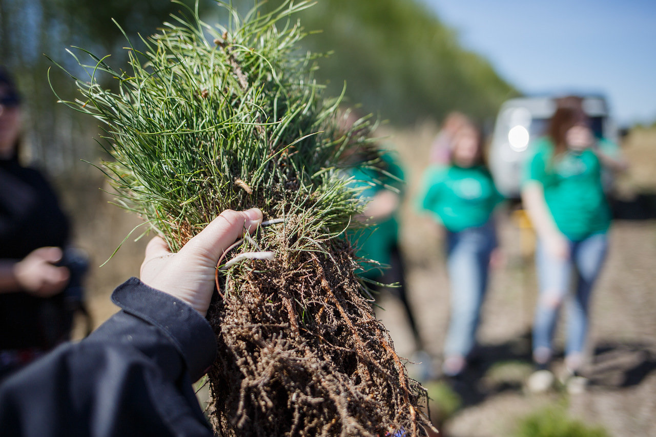 мордовия посадки 11