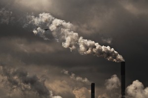 4915564739 9ca1110c73 b-300x199