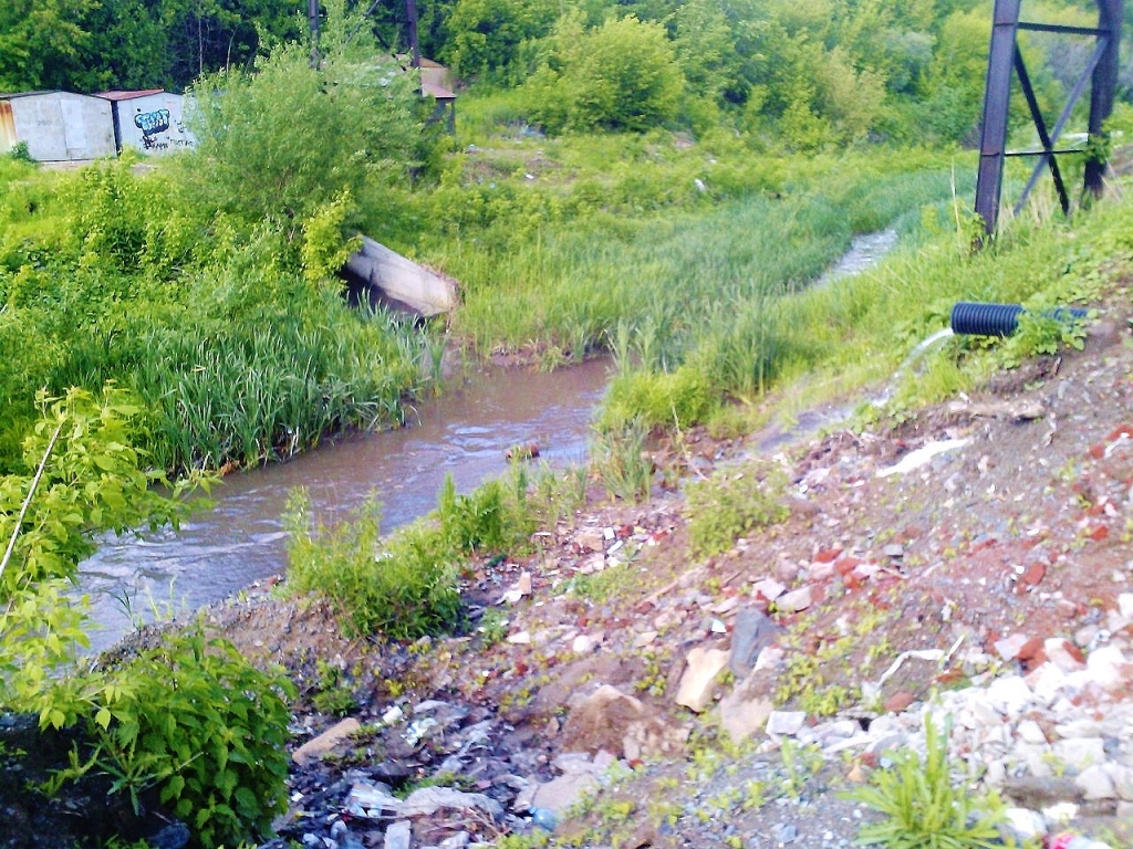 Река 1-я Ельцовка