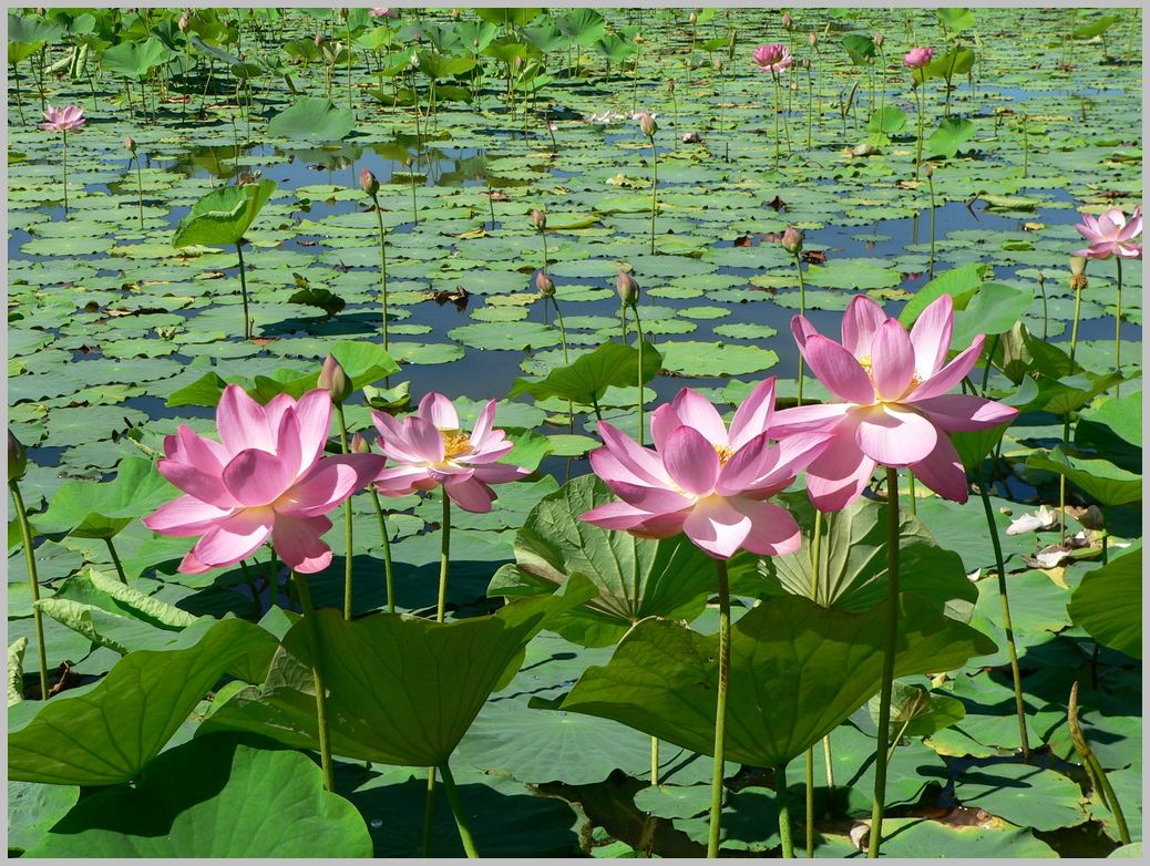 5-udivitelnyh-ozer-rossii 24