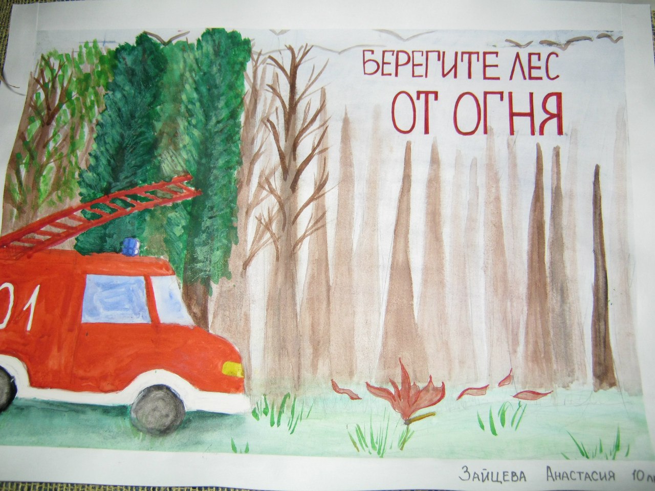 берегите лес