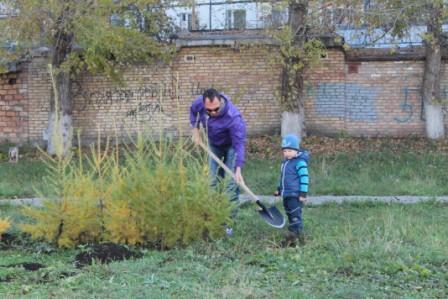 IMG 6184 - копия