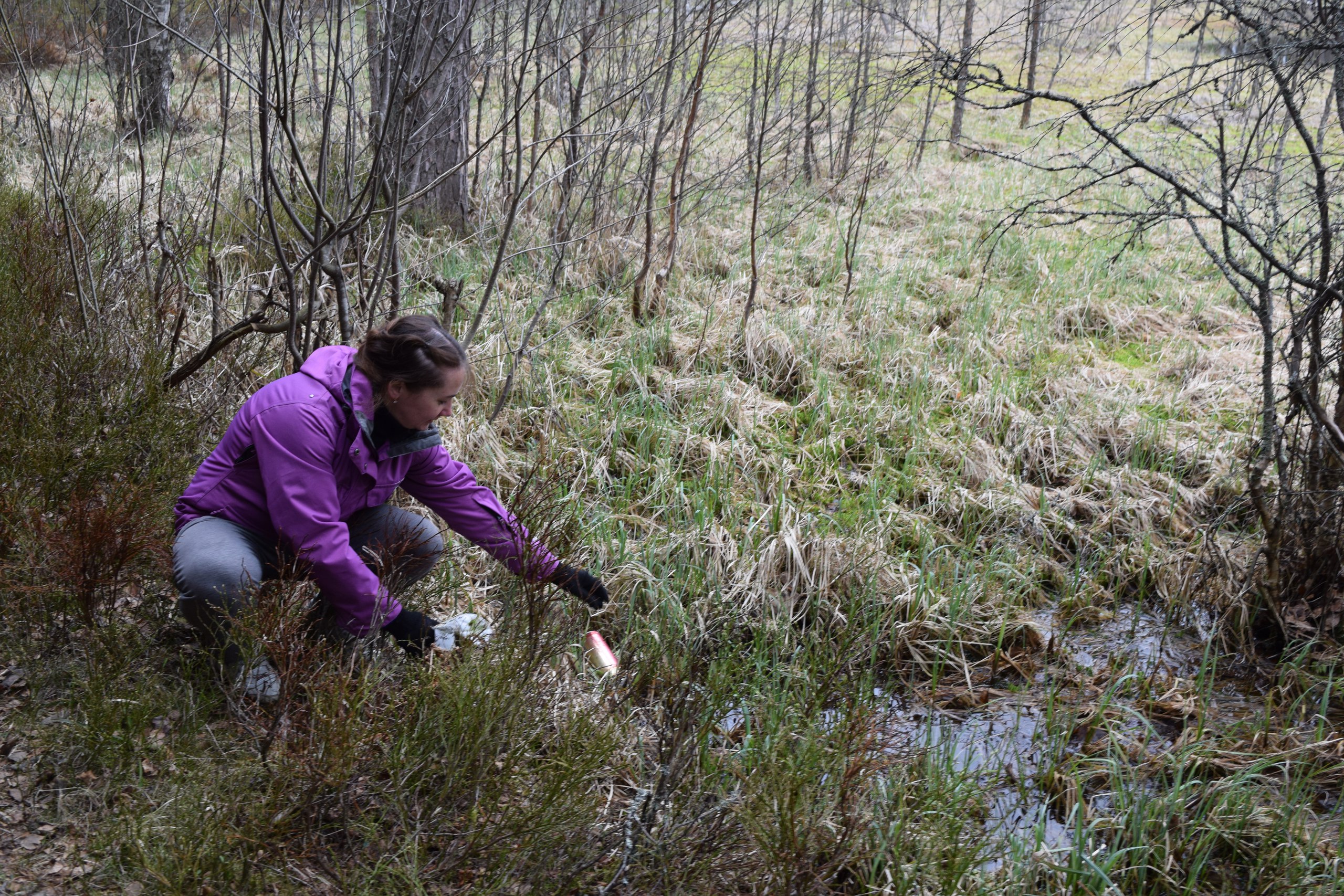 Акция Вода России Ленинградская область
