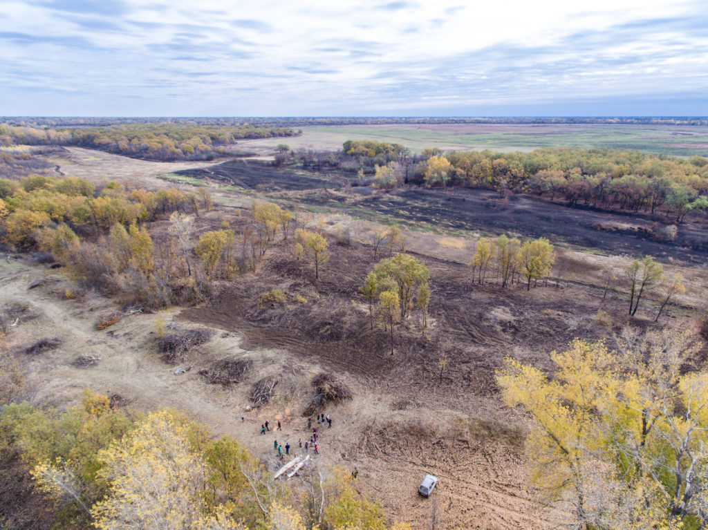 Волгоградская-область-PosadiLes-осень-2017-1-1024x767