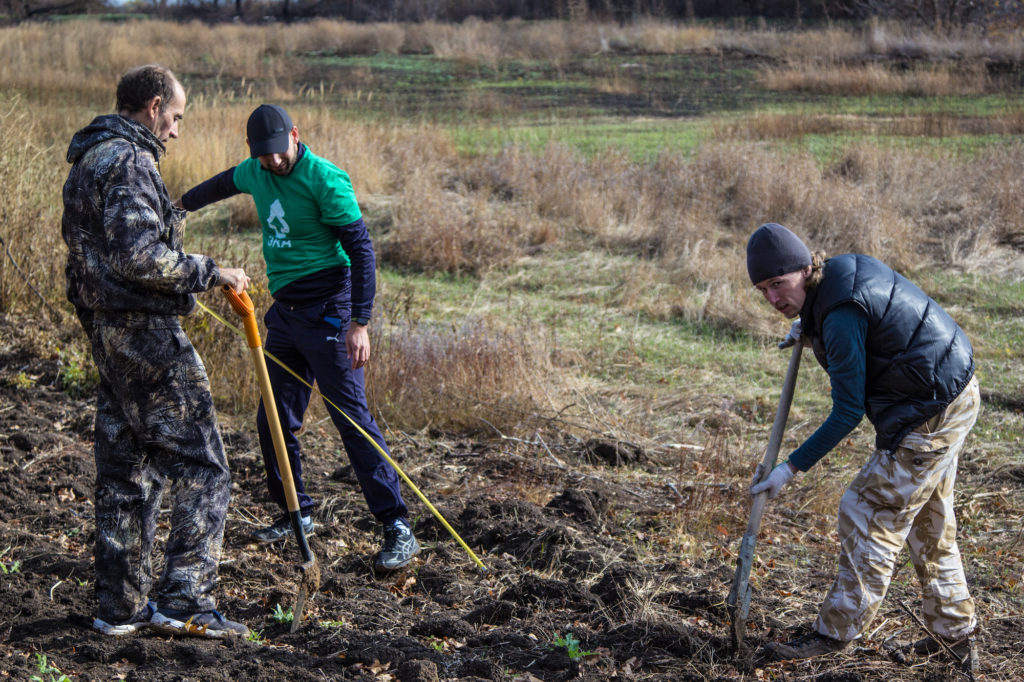 Волгоградская-область-PosadiLes-осень-2017-21-1024x682