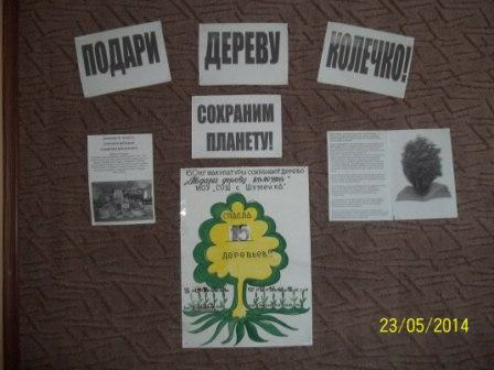 Копия Изображение 015