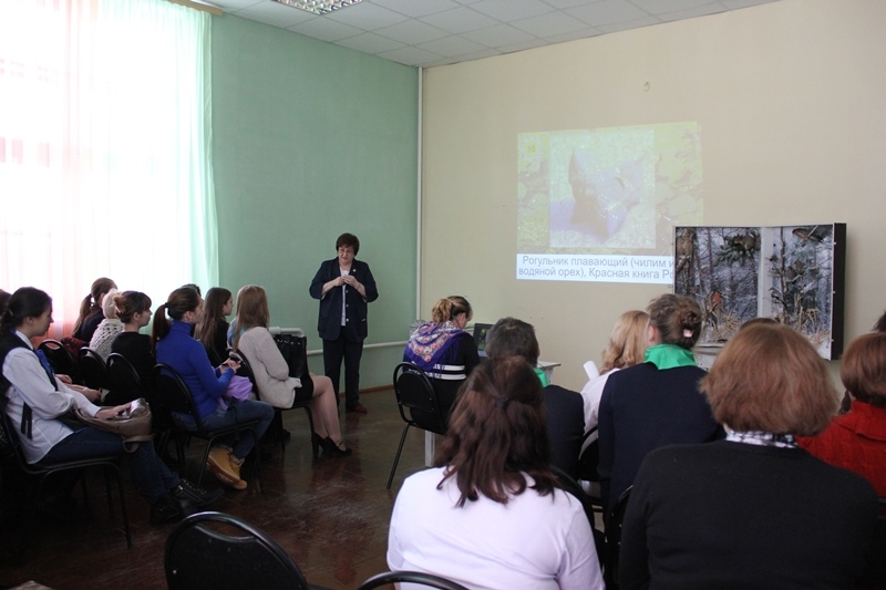 Фестиваль 17-02