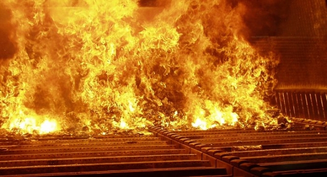 regnum picture 158940273194543 big