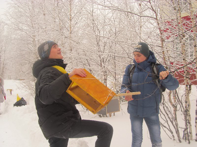 кормушка 137