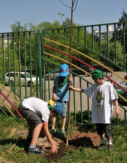 DSC 3544 новый размер