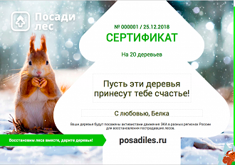 Screen Shot 2018-12-25 at 09.04.44