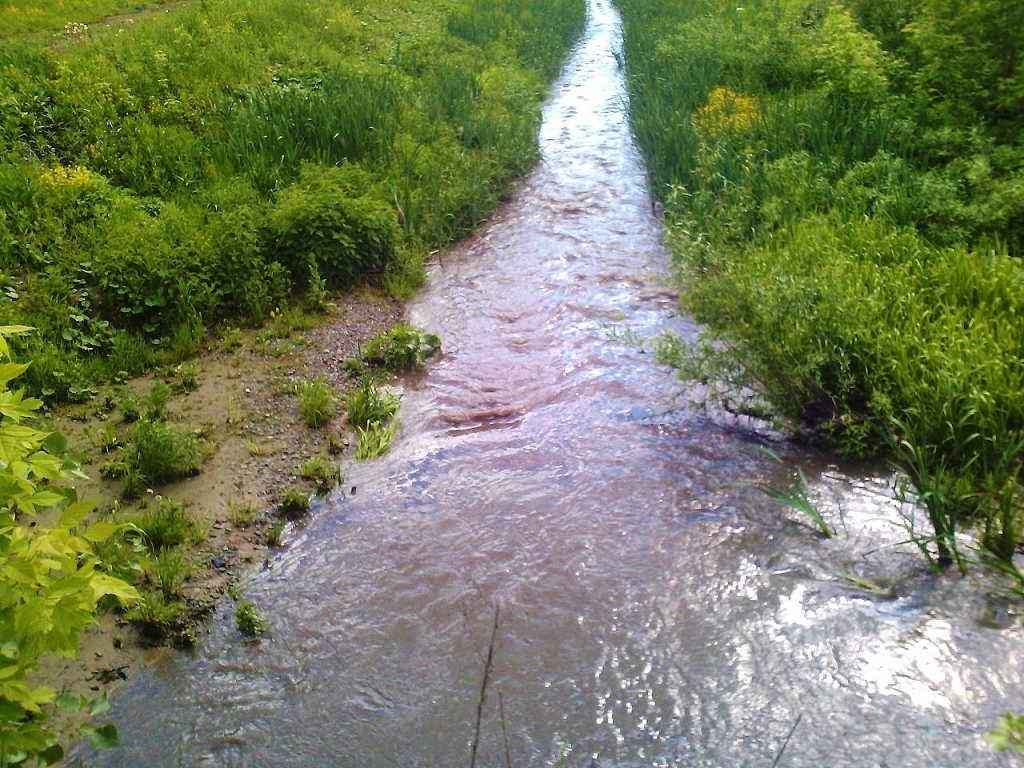 1-я Ельцовка