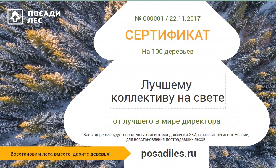 сертификат коллекктив