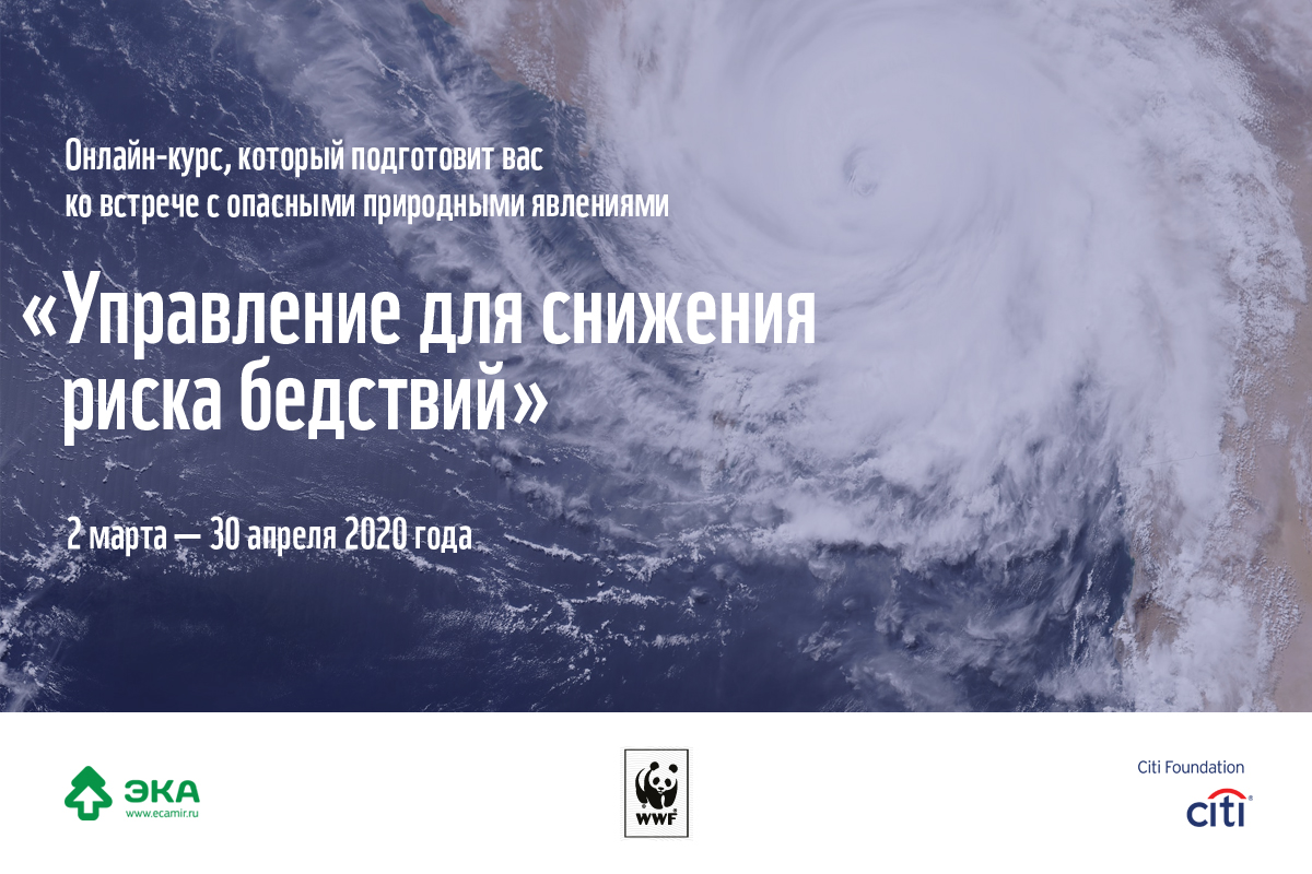 Антирисковый курс 1