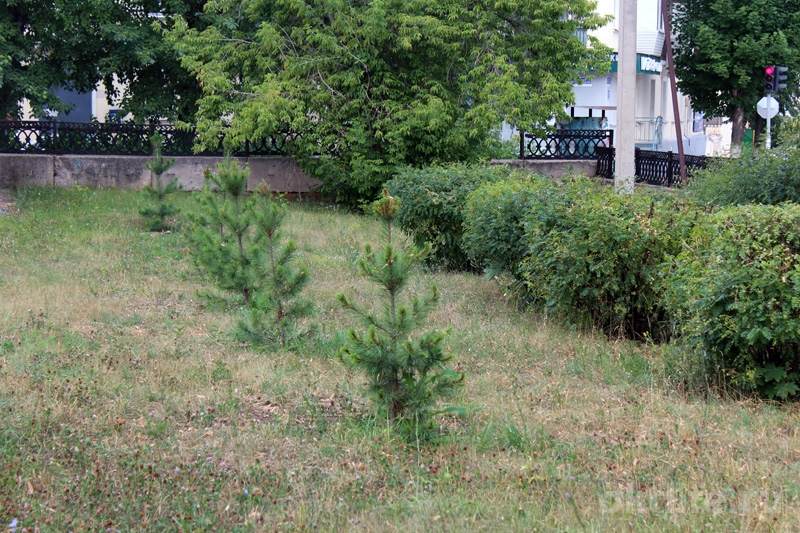 27ee3ff74ea4e2bb9a1135e6aeae8703