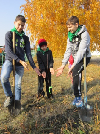 Копия колышлейский дом твочества