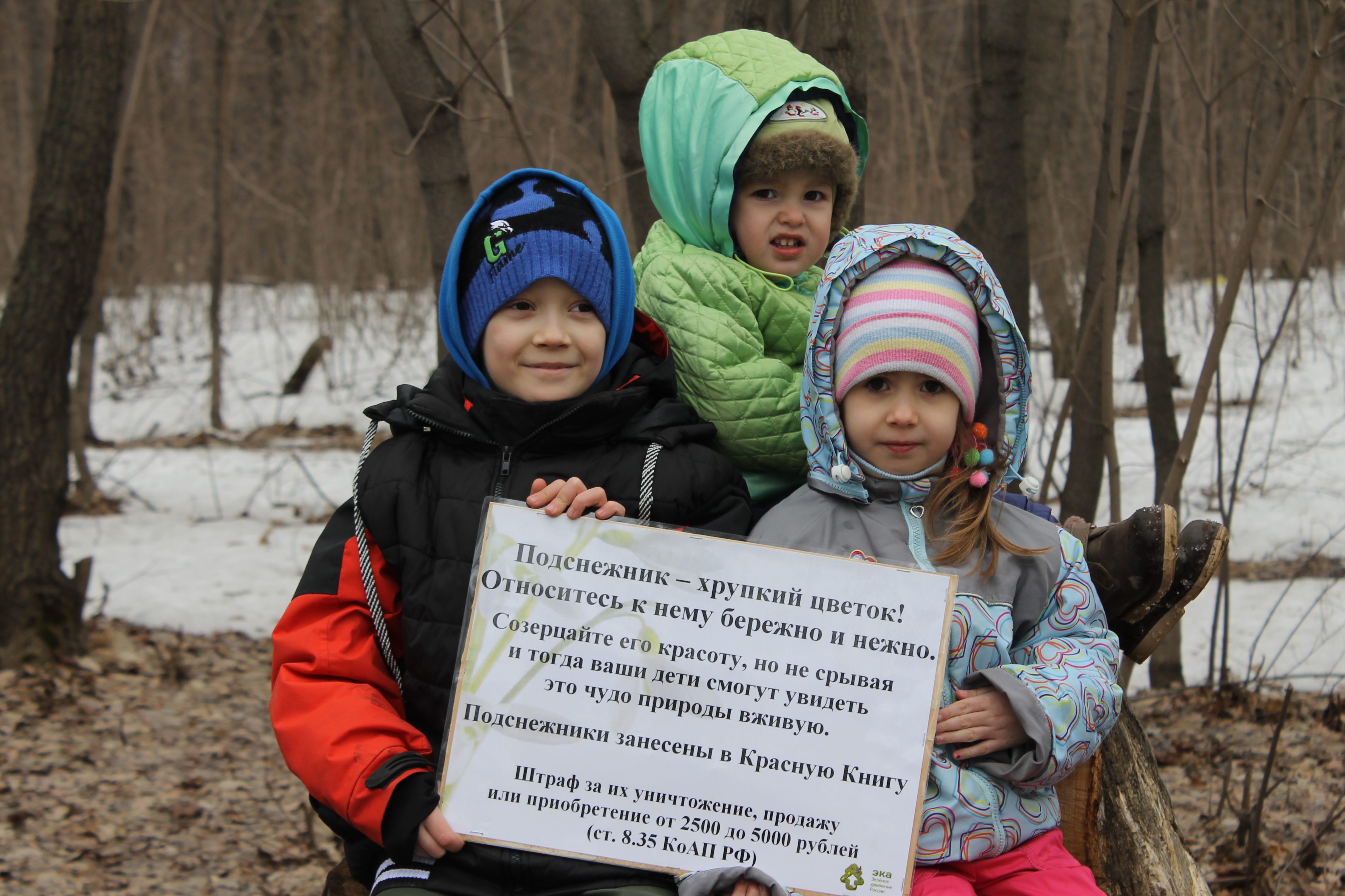 Копия подснежники 017