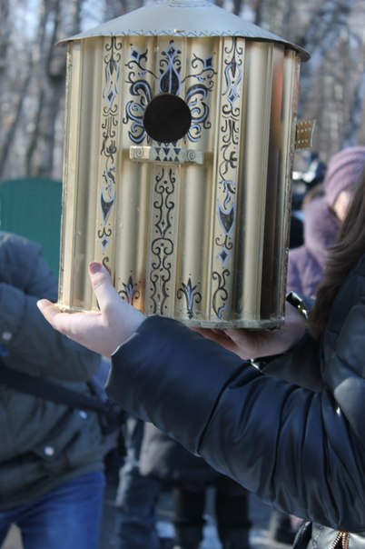 птицы ввввввввввввв