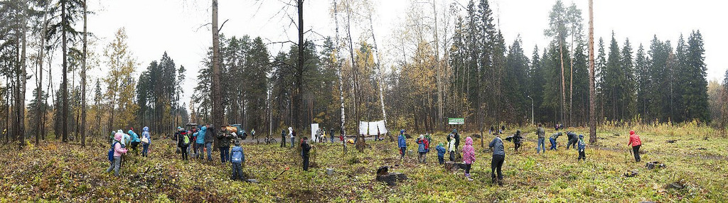 15502929066 4b8a949ee7 b