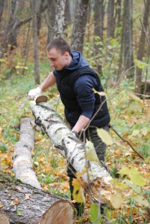 downloadfile-17 - копия