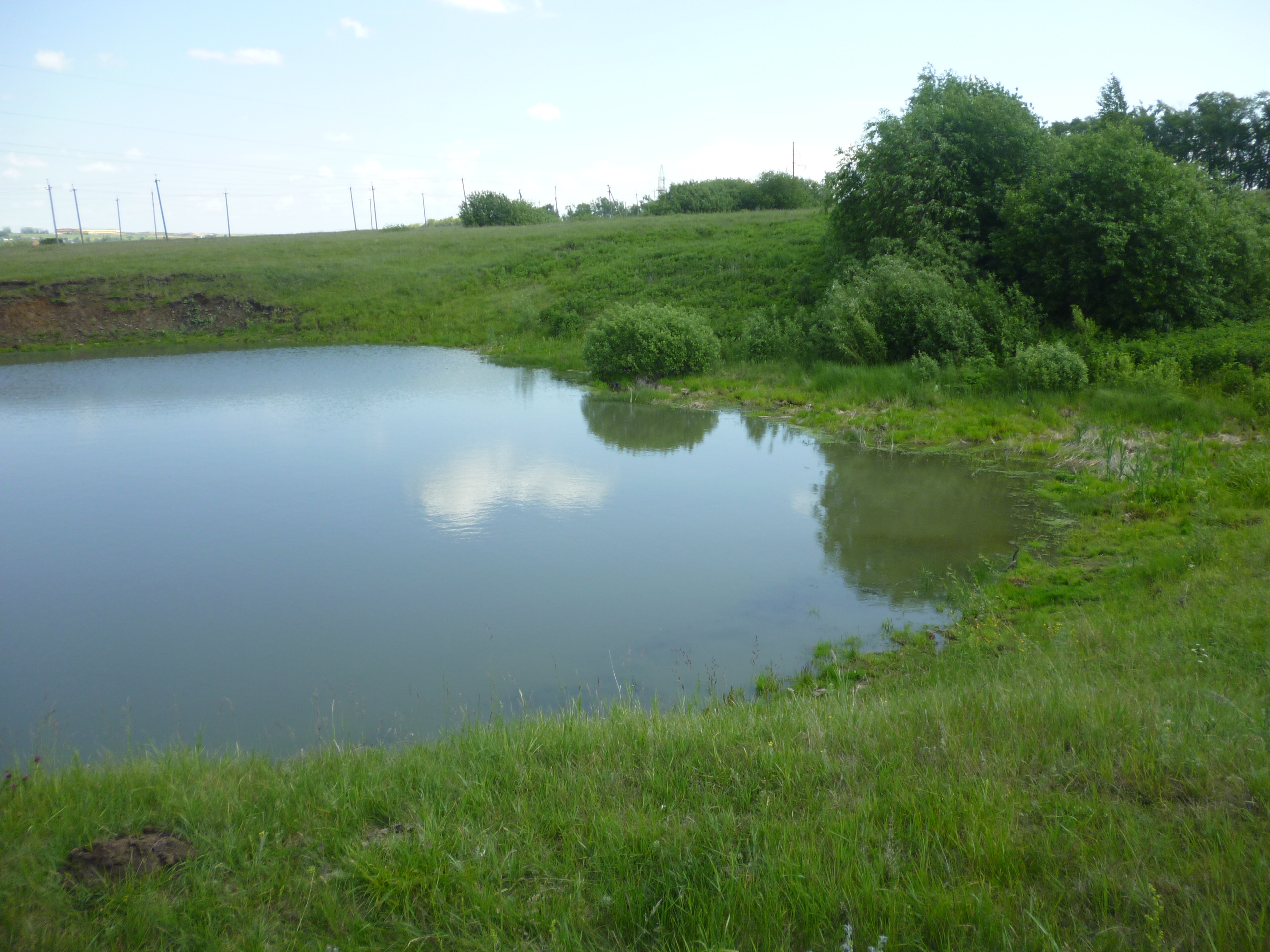 Пруд Байкал