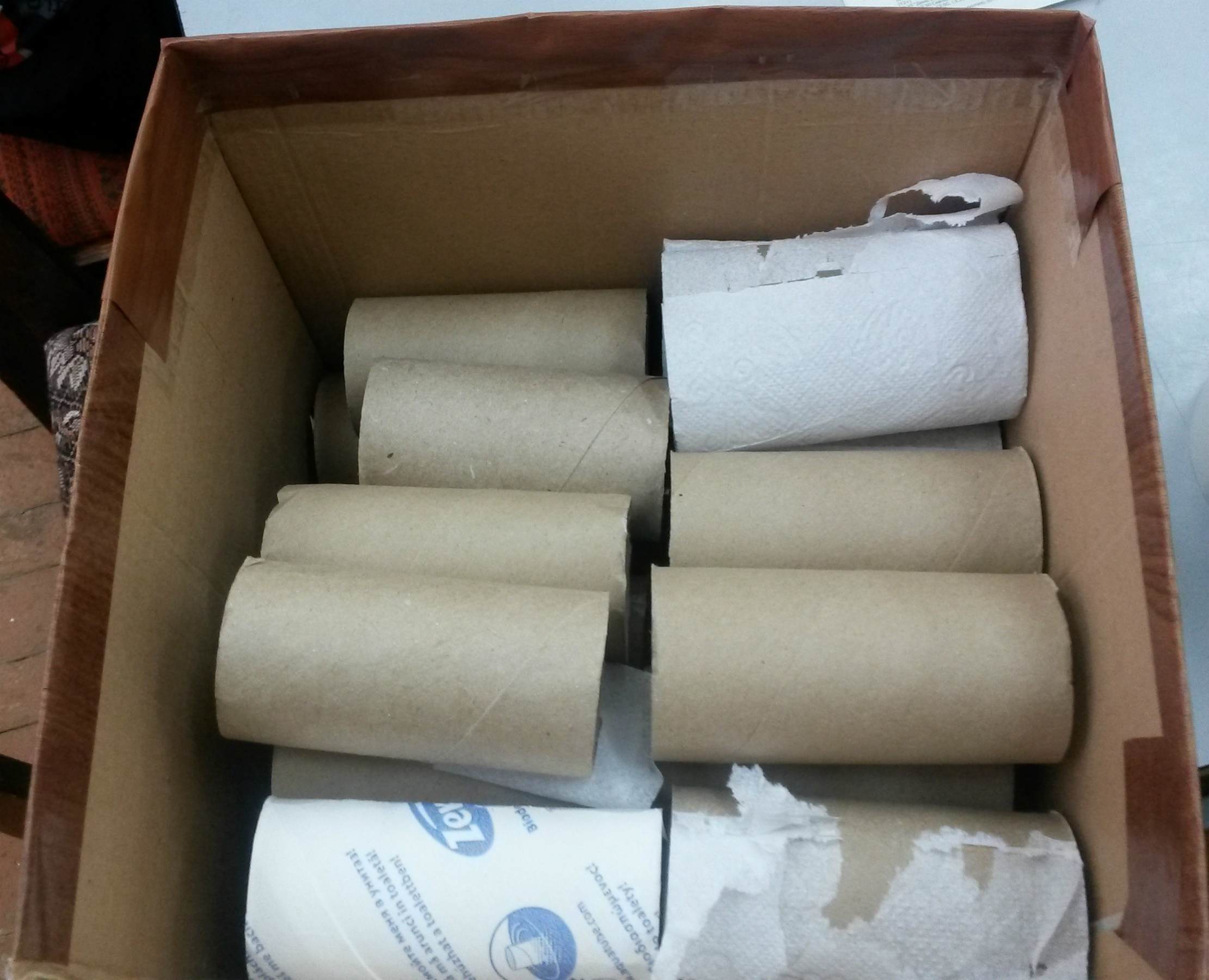 эко-зоопарк