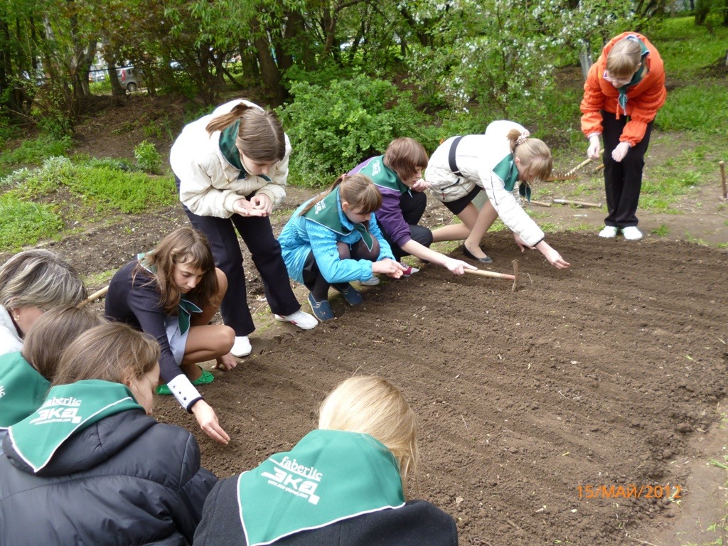Май 2012 посадка сосны