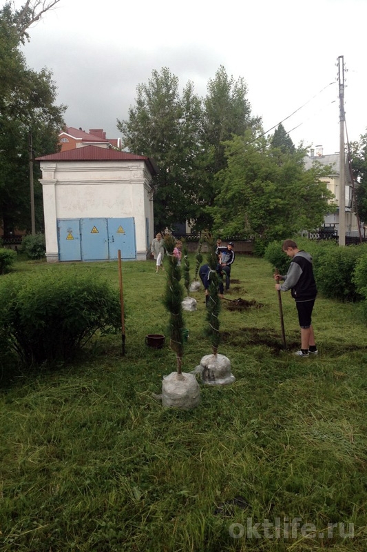 82539cf885e64e8a024bf9bd1b7738ca