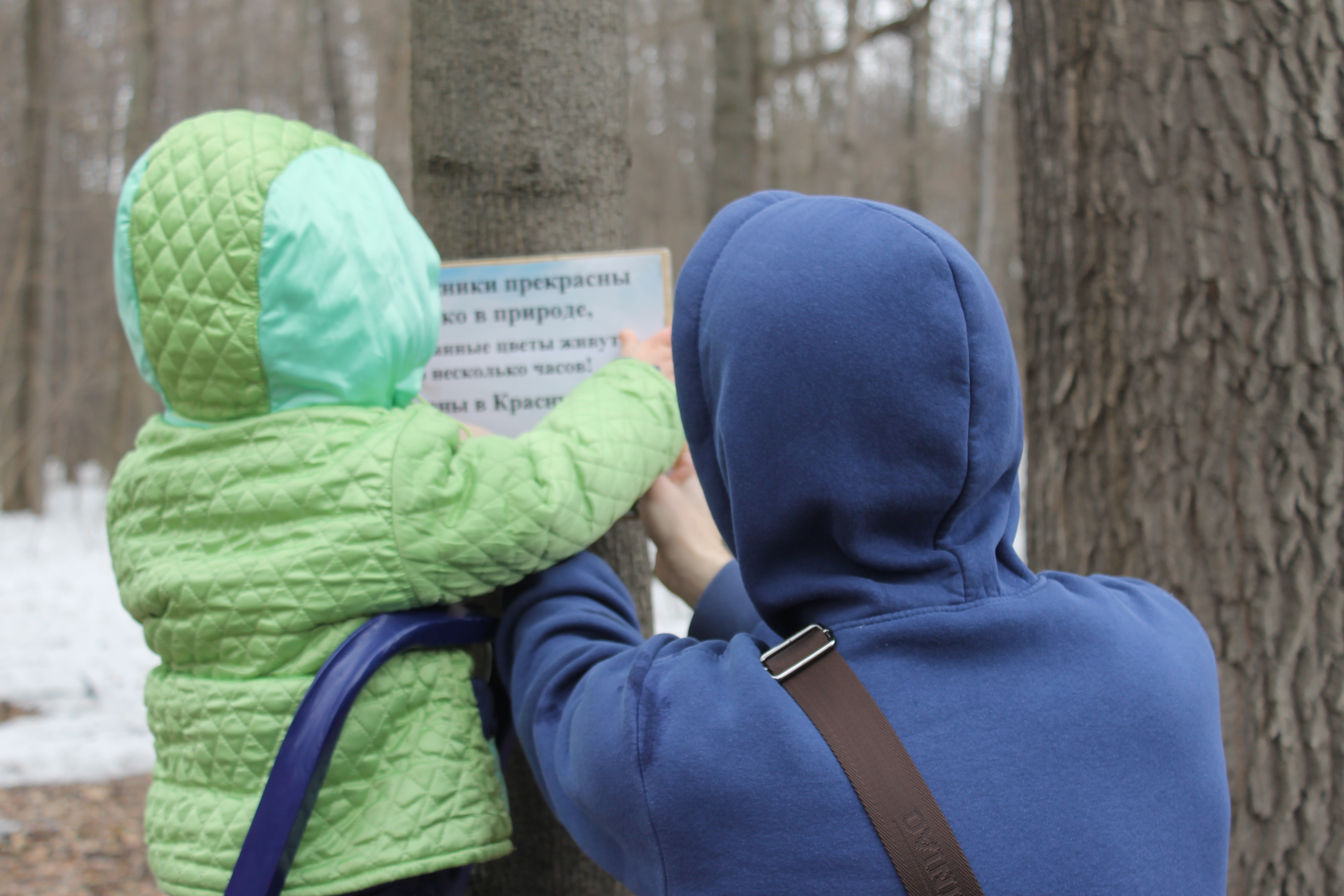 Копия подснежники 029