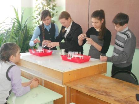 Копия Изображение 501