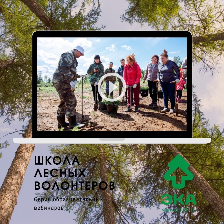 Школа Лесных Волонтеров (1).jpg