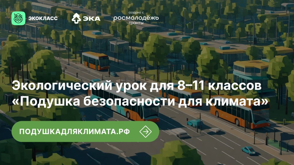 прямоугольник 8.jpg