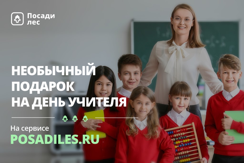 banner_vk2.jpg