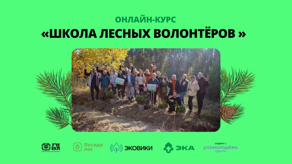 ШЛВ 2.jpg