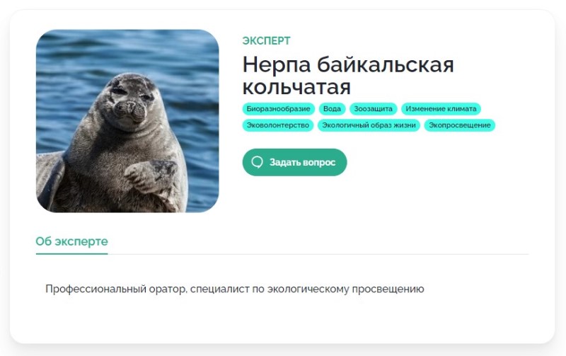Нерпа11.jpg