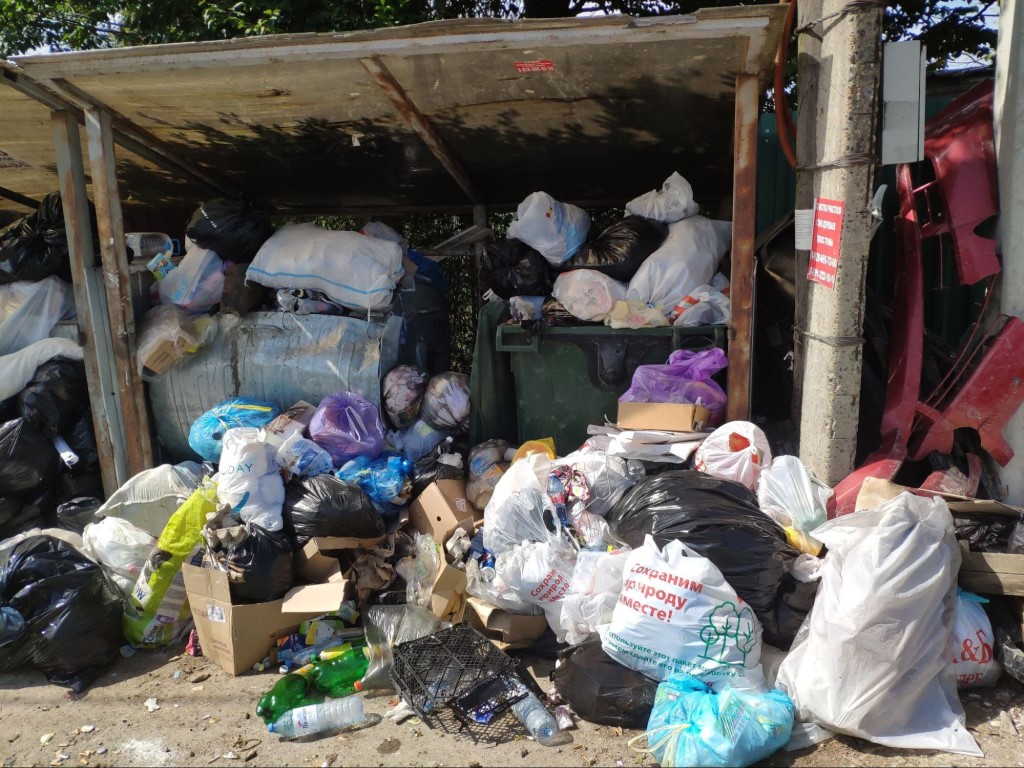 image4.jpg