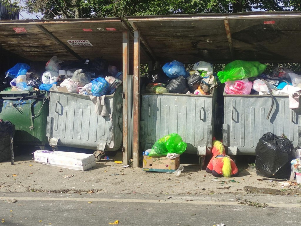 image9.jpg