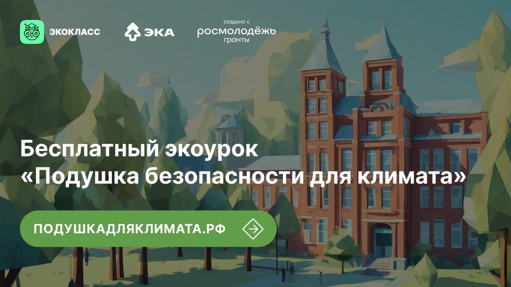 прямоугольник 7(1).jpg